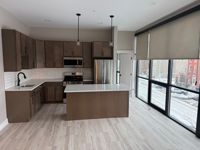 Window Roller Shades-Apartment