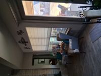 Great looking shades and great pricing