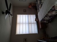 Great looking shades and great pricing