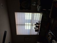 Great looking shades and great pricing