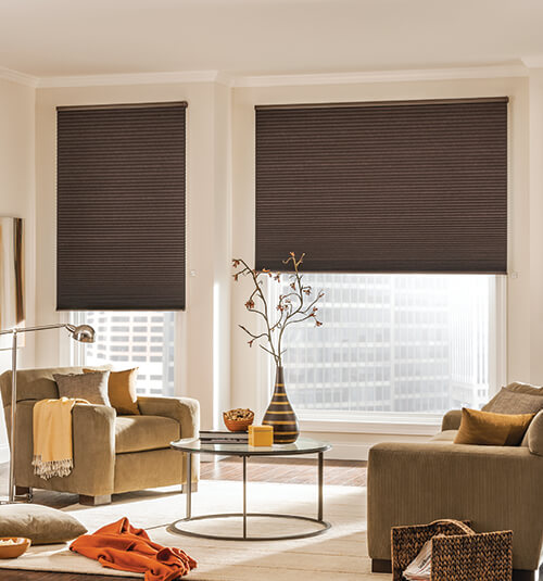 black honeycomb blinds